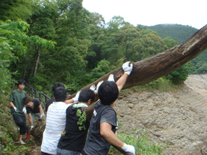 DSC03718.gif