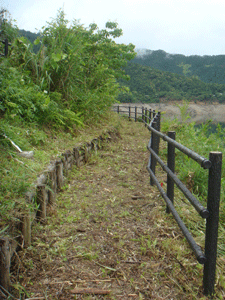 DSC03721.gif