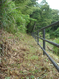 DSC03724.gif