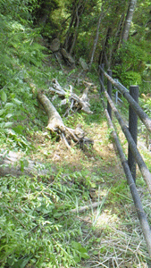 NEC_0322.gif