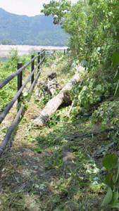 NEC_0323.gif