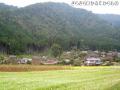 miyama01