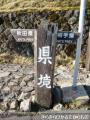 Tohoku43