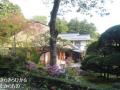 Tohoku67