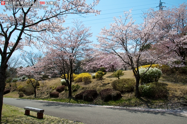 那須野が原公園