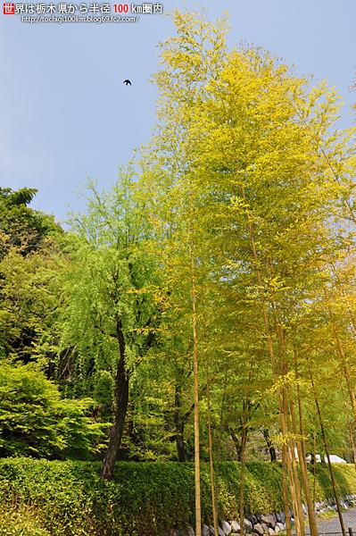 広重美術館