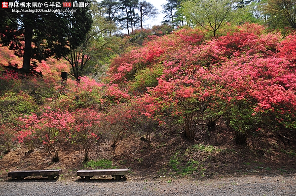 花立峠憩の森公園