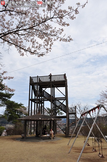 馬頭公園の桜