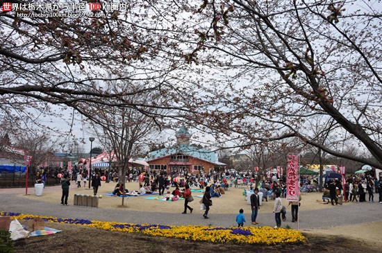 壬生町東雲公園