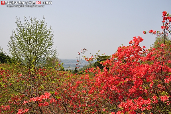 花立峠憩の森公園