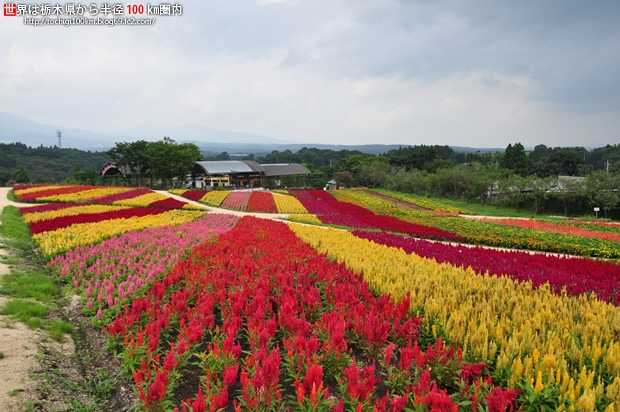那須フラワーワールド