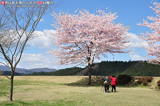 日光だいや川公園