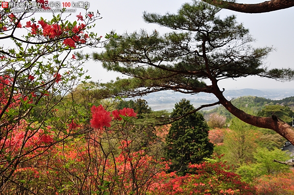 花立峠憩の森公園