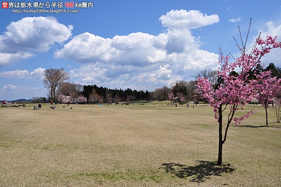 日光だいや川公園