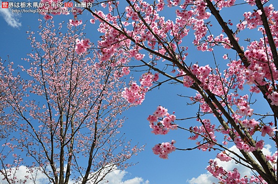 日光だいや川公園