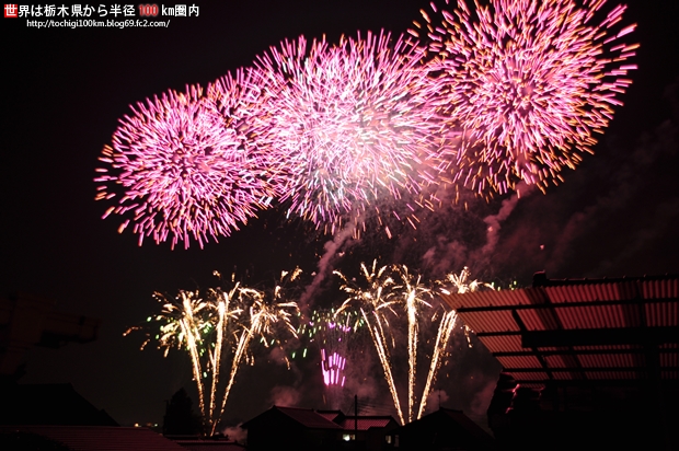うつのみや花火大会 2010
