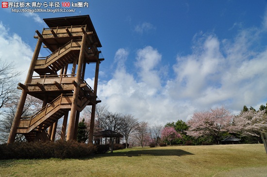 記念樹の森