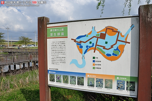 蓼沼親水公園