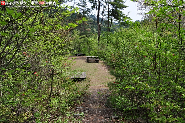 花立峠憩の森公園