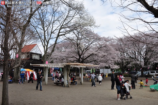 かしの森公園 さくら祭り