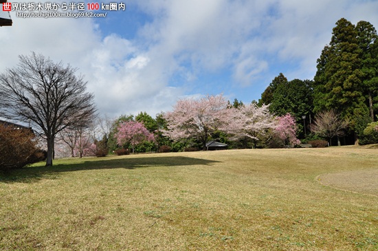 記念樹の森