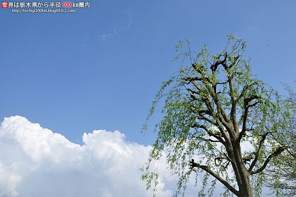 蓼沼親水公園