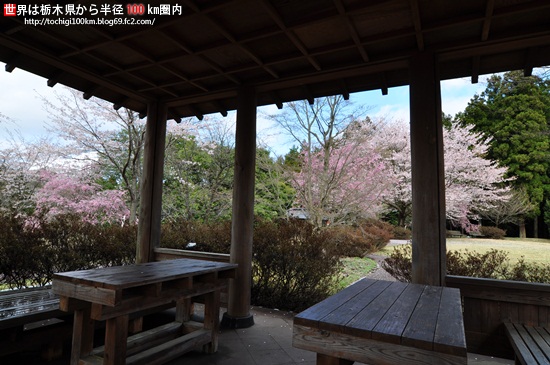 『記念樹の森公園』