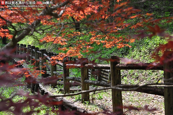 花立峠憩の森公園