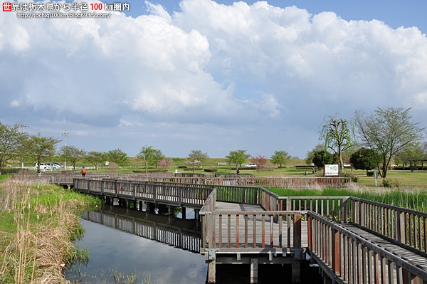 蓼沼親水公園