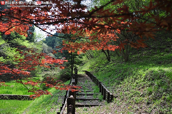 花立峠憩の森公園