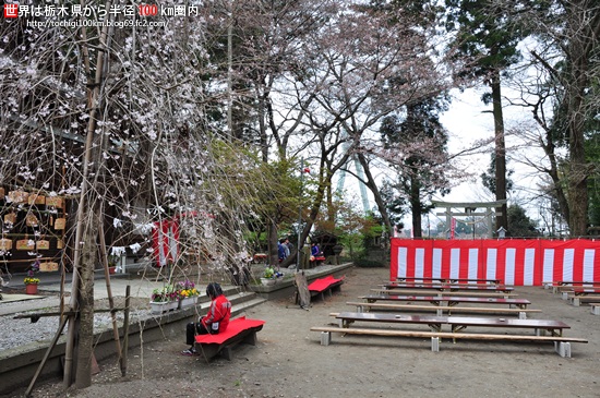 雄琴神社(おことじんじゃ)