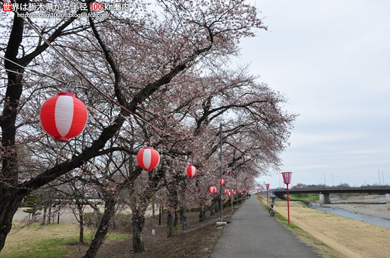 壬生町東雲公園