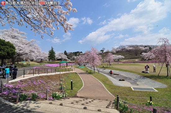 矢板市 長峰公園