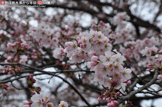 壬生町東雲公園