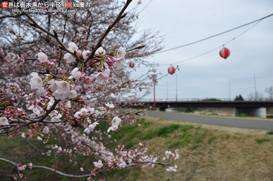 壬生町東雲公園