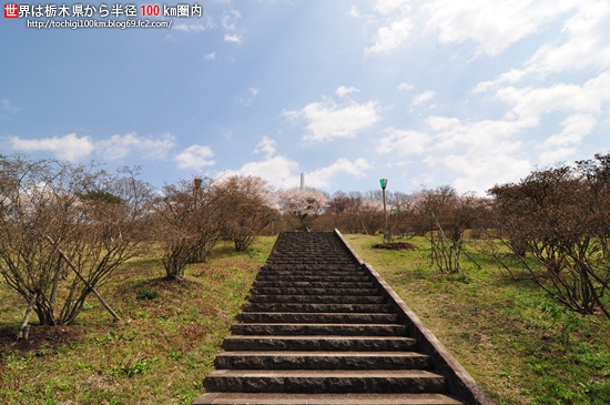 矢板市 長峰公園