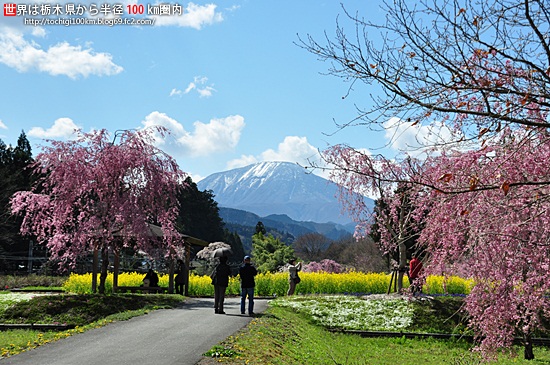 日光だいや川公園
