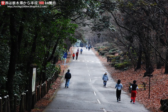 井頭公園 梅 - 栃木県真岡市下籠谷99番地