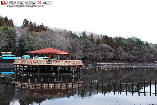 井頭公園 梅 - 栃木県真岡市下籠谷99番地