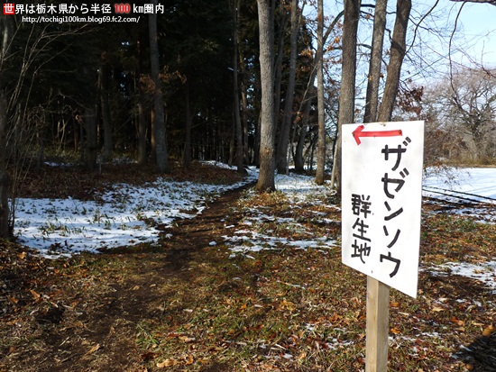 DMC-LX3-P1010393-20100214-162708.jpg