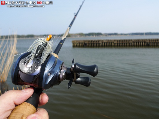 2010ブラックバス釣り