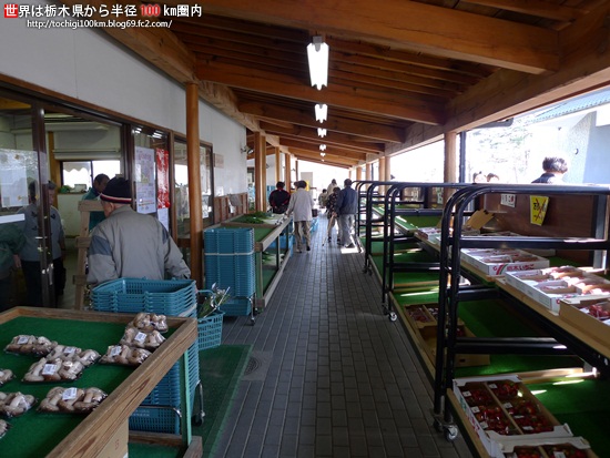 DMC-LX3-P1010633-20100314-142226.jpg