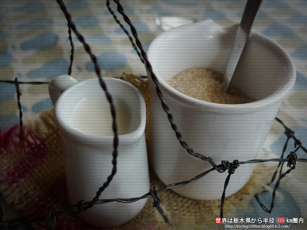 CAFE KENZO SUN 清原台