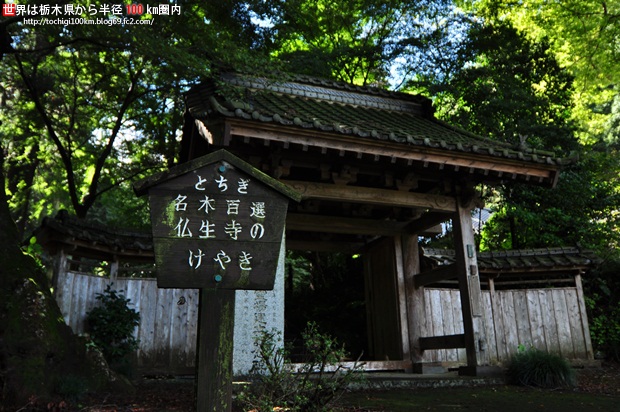 仏生寺 真岡市南高岡