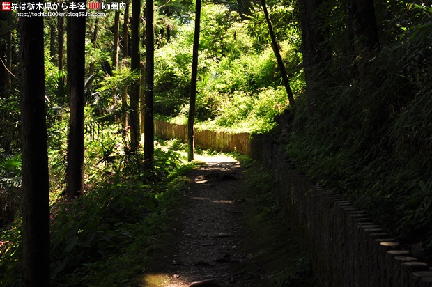 宇津野洞窟
