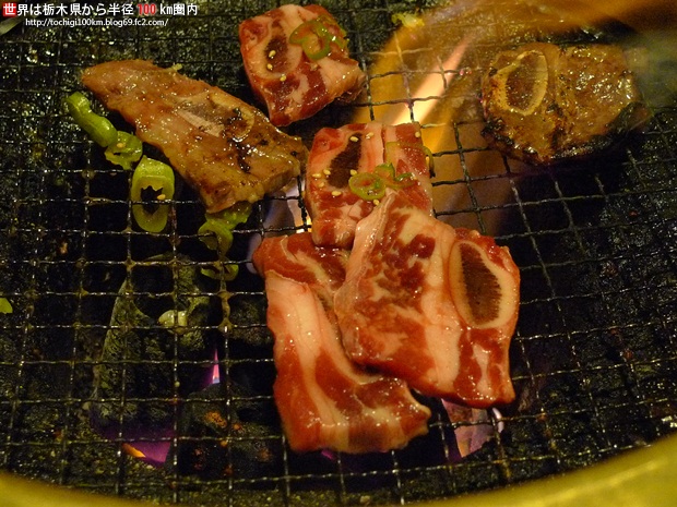 霞ヶ浦ブラックバス with バスキャットジャガー