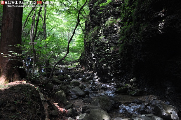 竜化の滝 那須塩原市