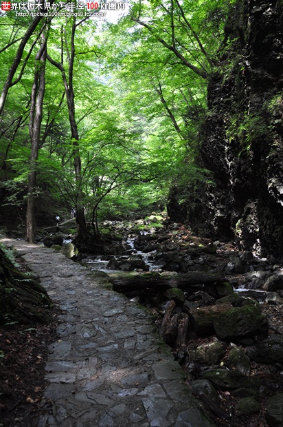 竜化の滝 那須塩原市