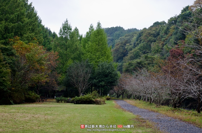 龍門の滝 那須烏山市滝