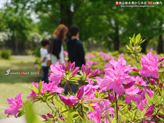 西方ふれあいパーク 西方町本城西方総合公園内
